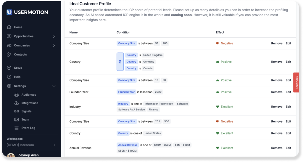 usermotion ideal customer profile